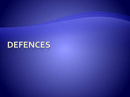 criminal law defence